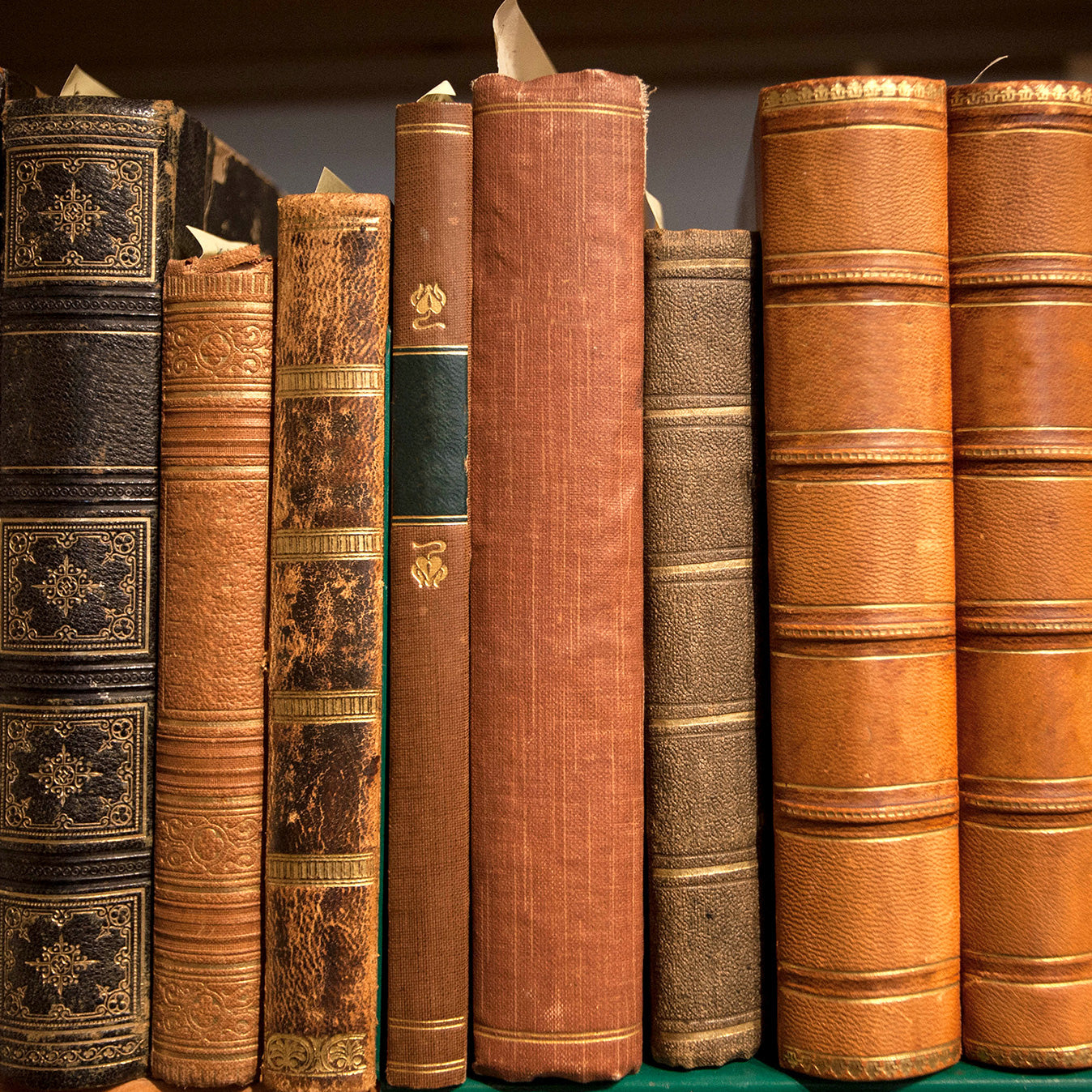 Image of Signed Books